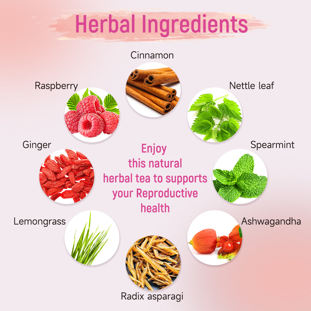 Hormone Harmony Bundle